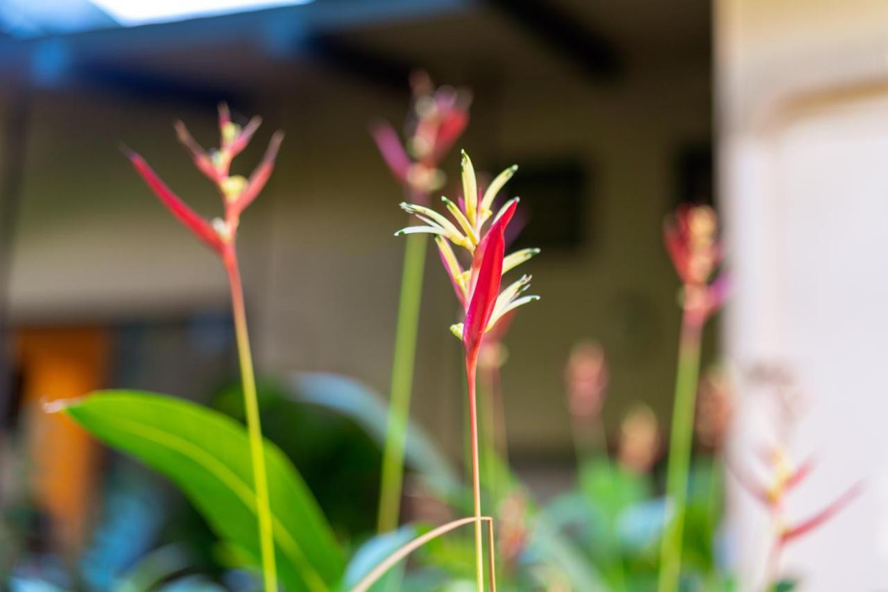 Noahs Hideaway Luxury B&B Lahaina Esterno foto