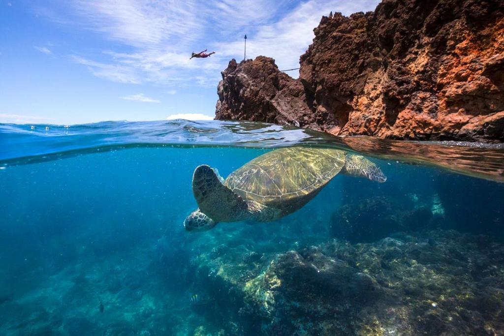 Noahs Hideaway Luxury B&B Lahaina Esterno foto